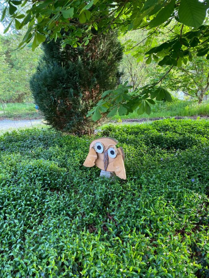 Urlaub In Der Natur Lüdenscheid Exteriér fotografie